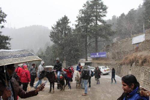 15 (1) (1) (1) (1) (1) (1) (1) (1) (1) (1) (1) (1) (1)