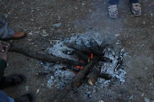 21 (1) (1) (1) (1) (1) (1) (1) (1) (1)